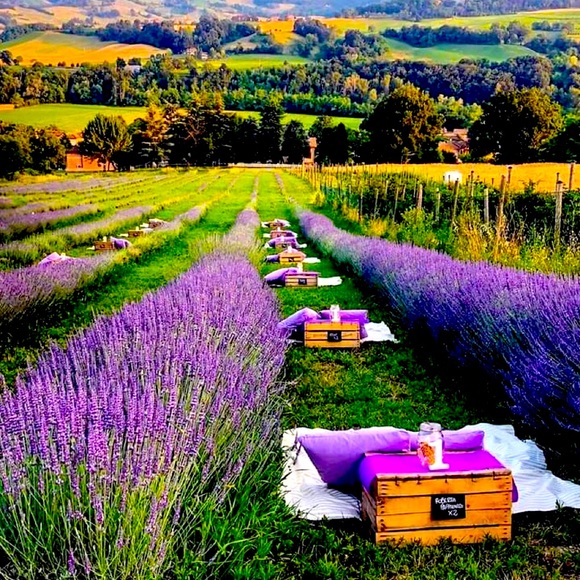 Meet your Posher - Picture 5 of 16